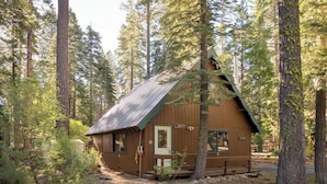 A cabin with a metal roof, wooden walls, and a porch.