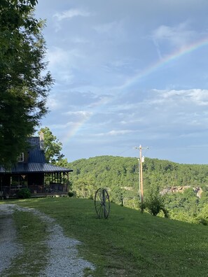 Unclassified image, 4 of 39, button