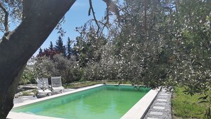 Una piscina rettangolare con un bordo chiaro tutt'intorno.
