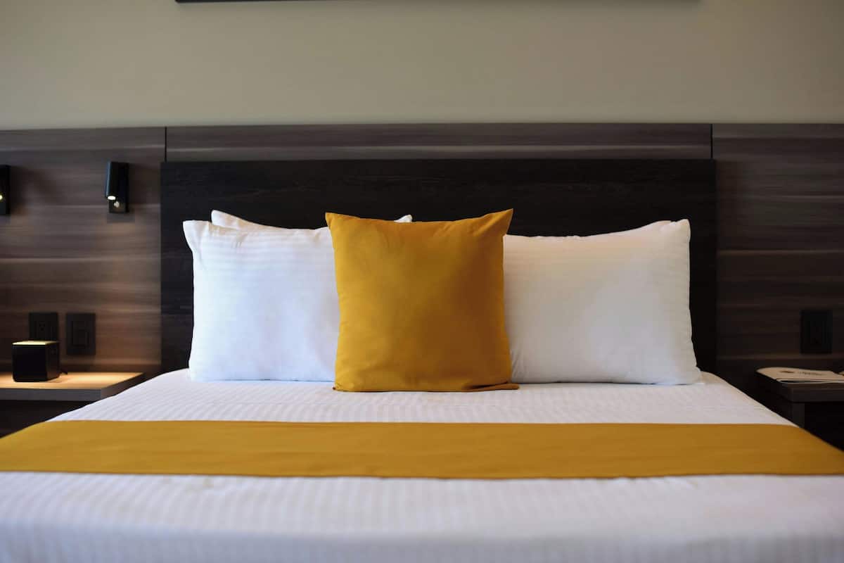 Phòng Tiêu chuẩn, 1 giường cỡ king, quang cảnh núi | Minibar, két bảo mật tại phòng, trang trí khác biệt, bàn