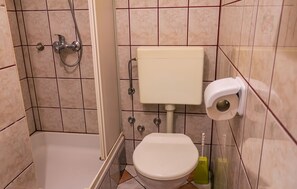 Apartment, 1 Schlafzimmer, Raucher, Terrasse | Badezimmerausstattung | Dusche