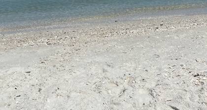 Come and enjoy NAPLES Florida 90 day stay per HOA