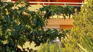Detalle del exterior