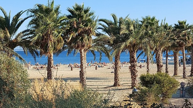Ein Strand mit Palmen und Menschen, die in der Sonne baden.