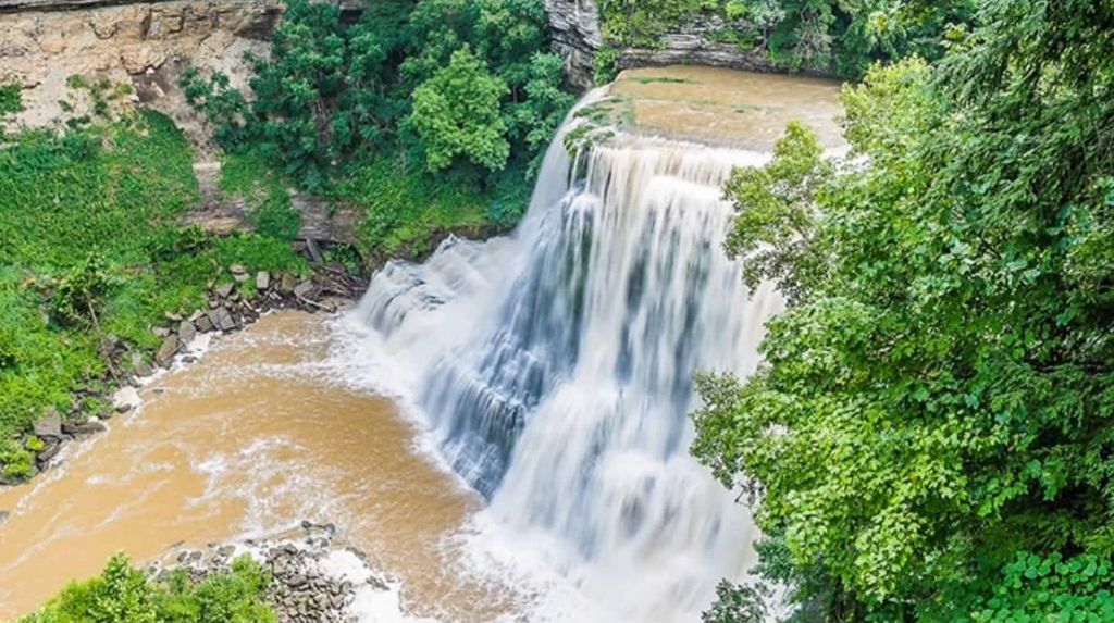 A waterfall cascading into a river surrounded by lush greenery.