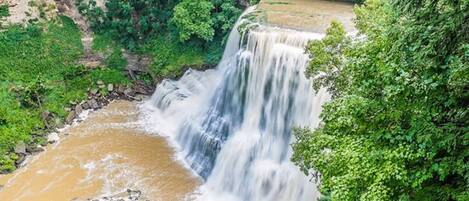 A waterfall cascading into a river surrounded by lush greenery.