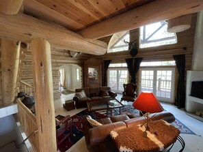 智能电视、壁炉、DVD 播放器、书