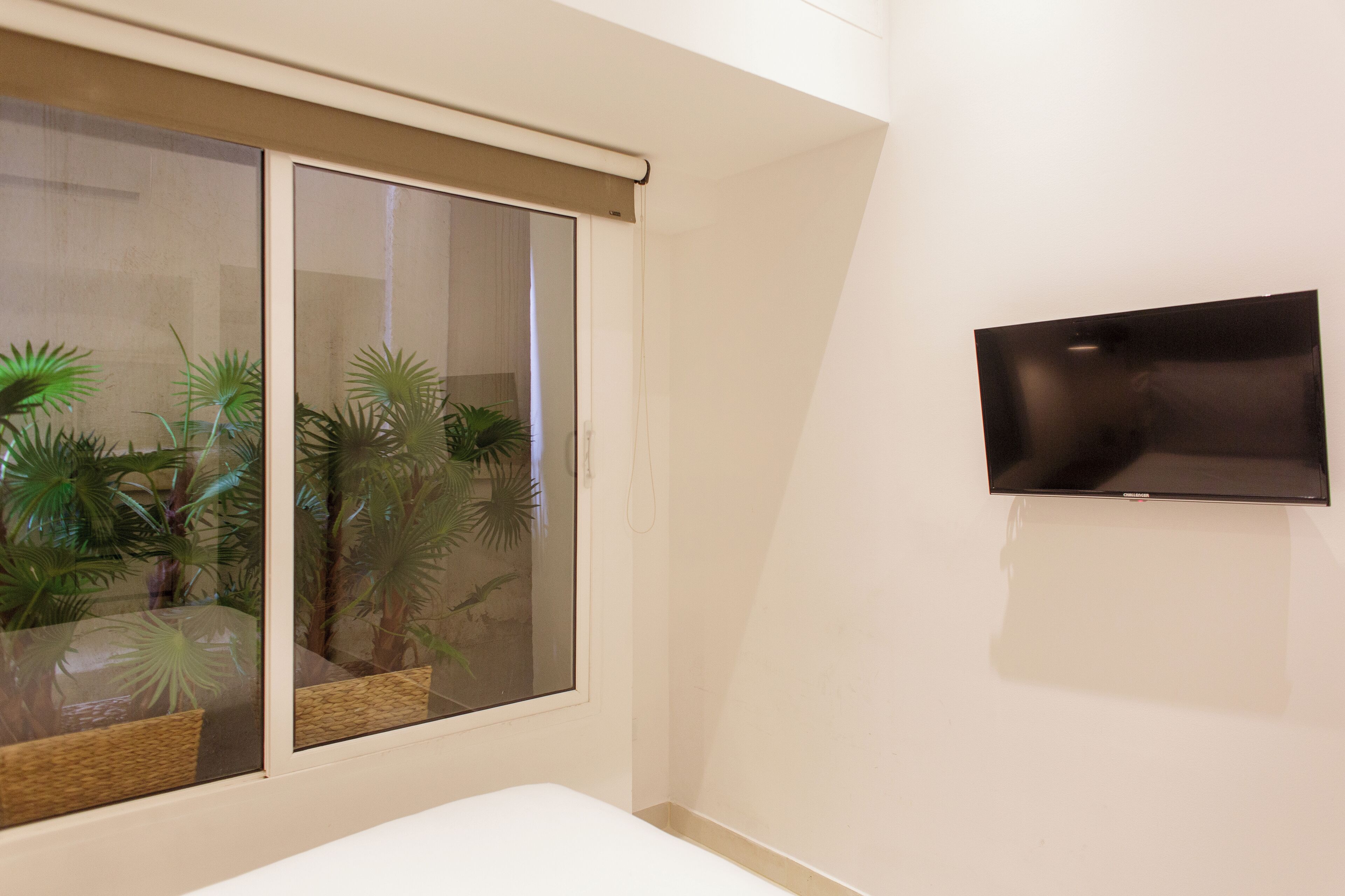 A room with a bed, a TV mounted on the wall, and a window with a view of indoor plants.