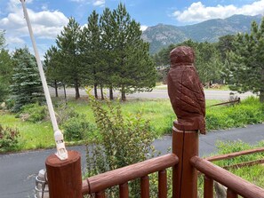 Property grounds - Log Home, Views, Wildlife, Near Estes, Scott Ponds, Playground, Town Trails. (Estes Park)