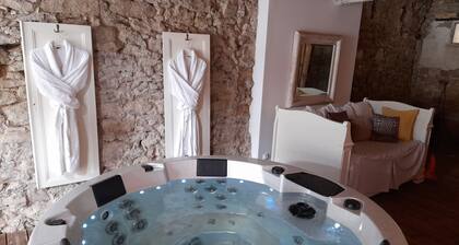 The Sainte Valière gîte (swimming pool, SPA and air conditioning)