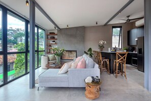 Smart TV, fireplace, Netflix, streaming services