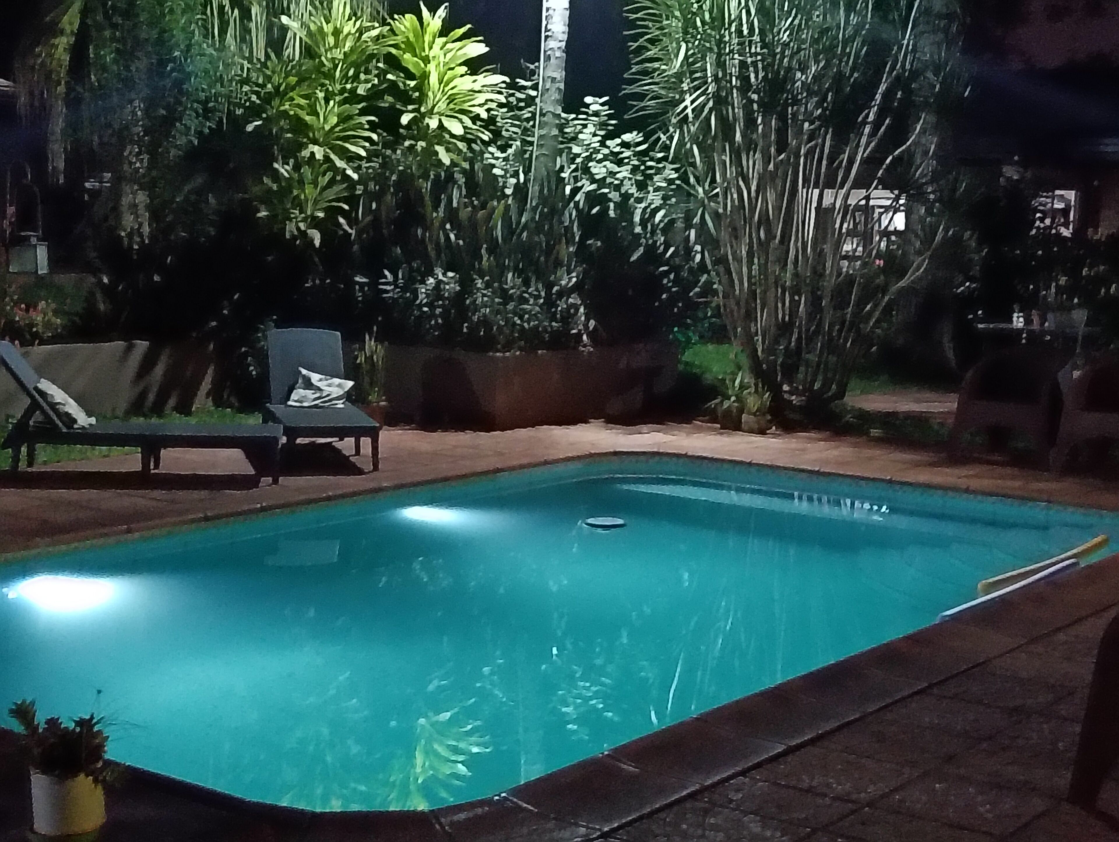 Outdoor pool, pool loungers