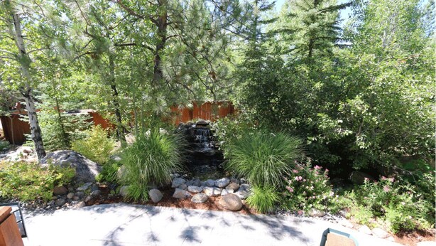A garden with a small waterfall, surrounded by various plants and trees. - The North Lake Lodges & Villas is a quaint boutique resort. Studio and sleeps 2 (Incline Village)