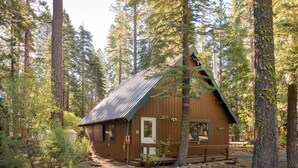 Cabaña, varias camas (Wood Stove, Deck & Beach Access  - "M) | Exterior
