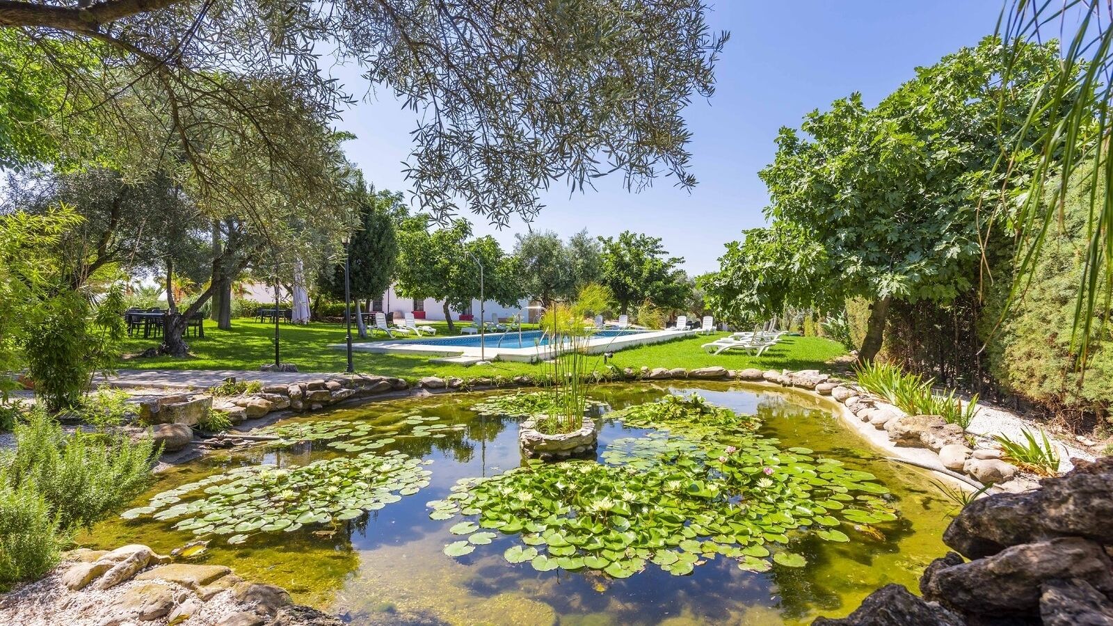 Jardines del alojamiento