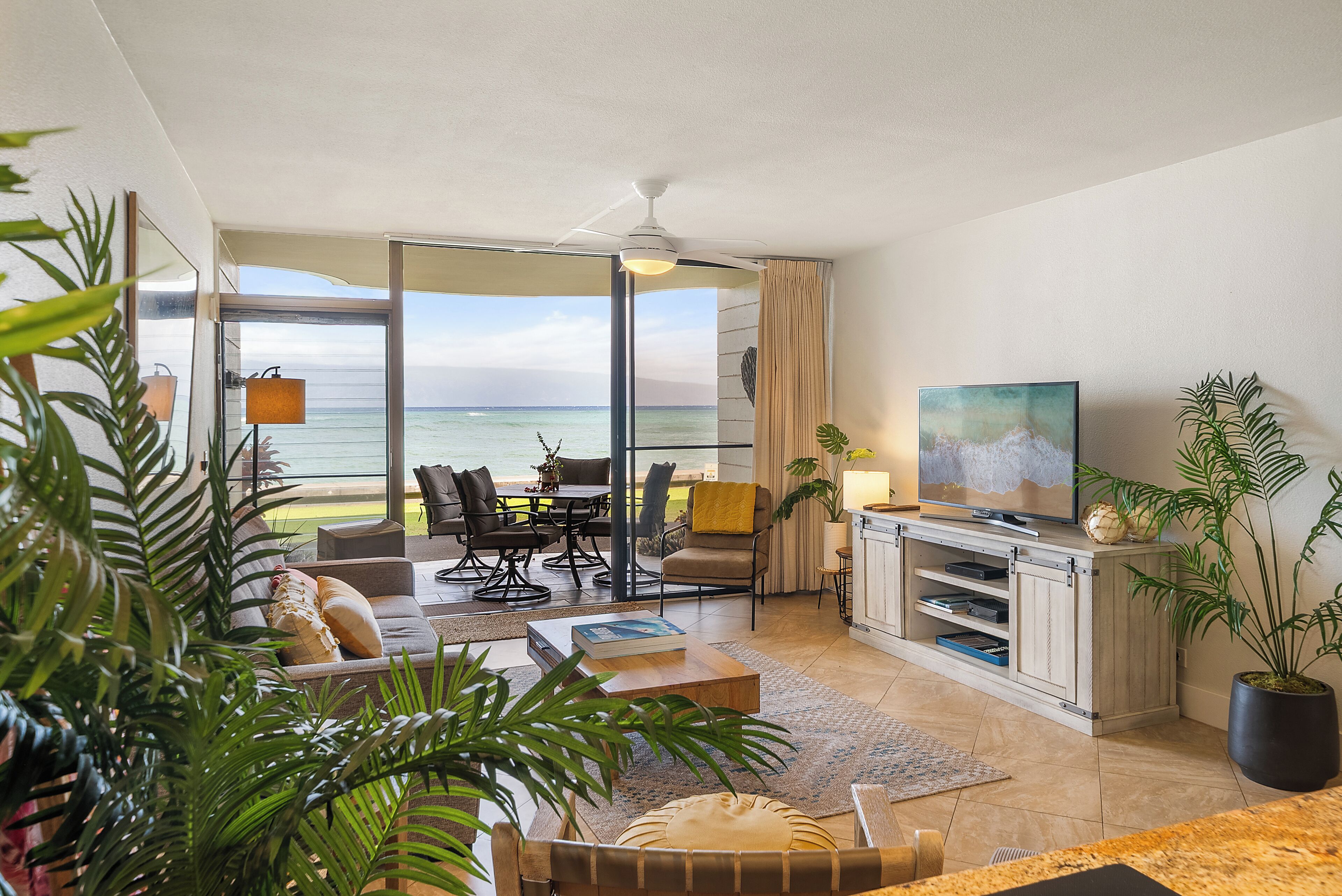 Televisión y reproductor de DVD 