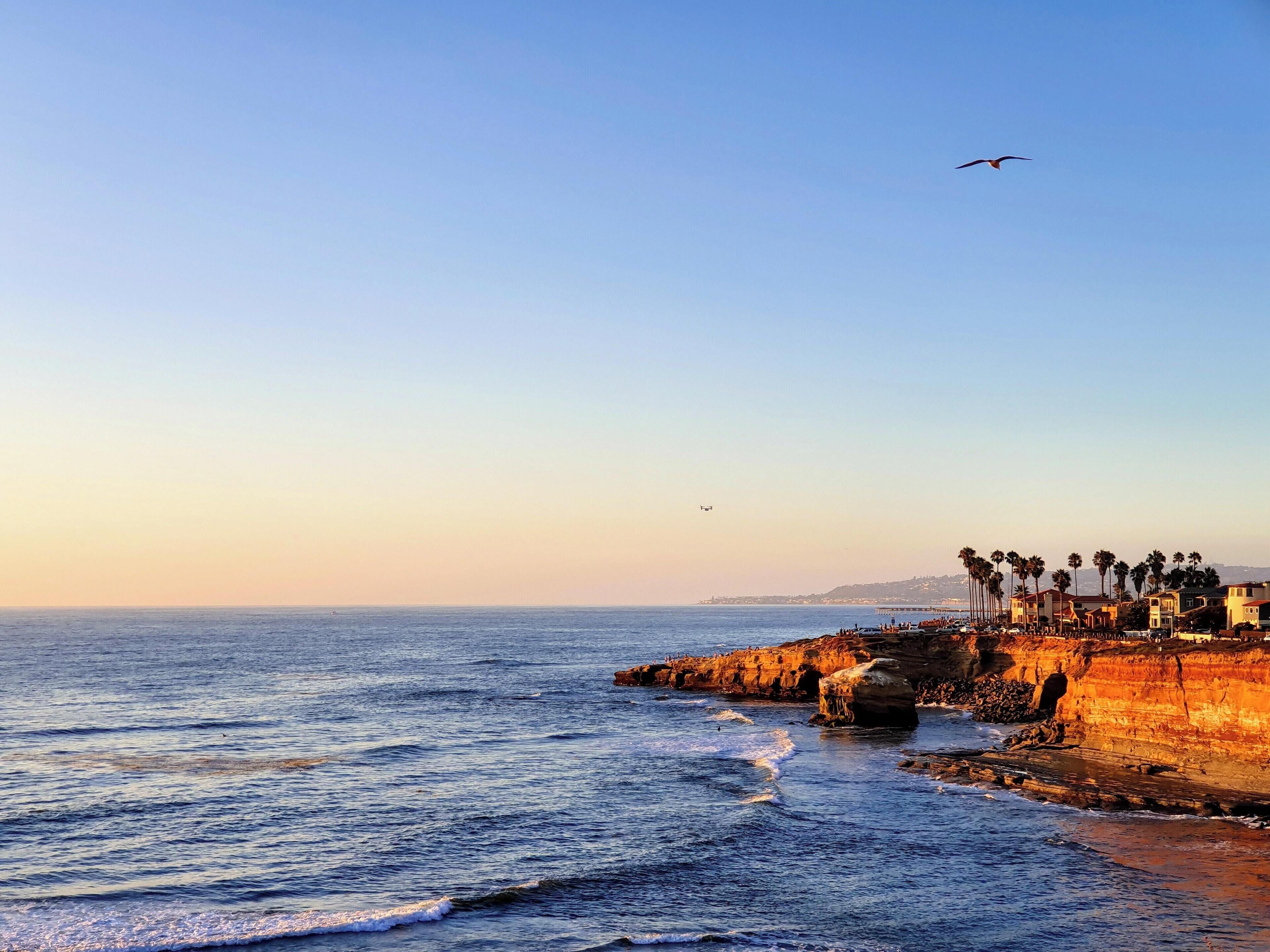 Side-by-Side Luxury Beach Condos 20 Steps to Ocean!