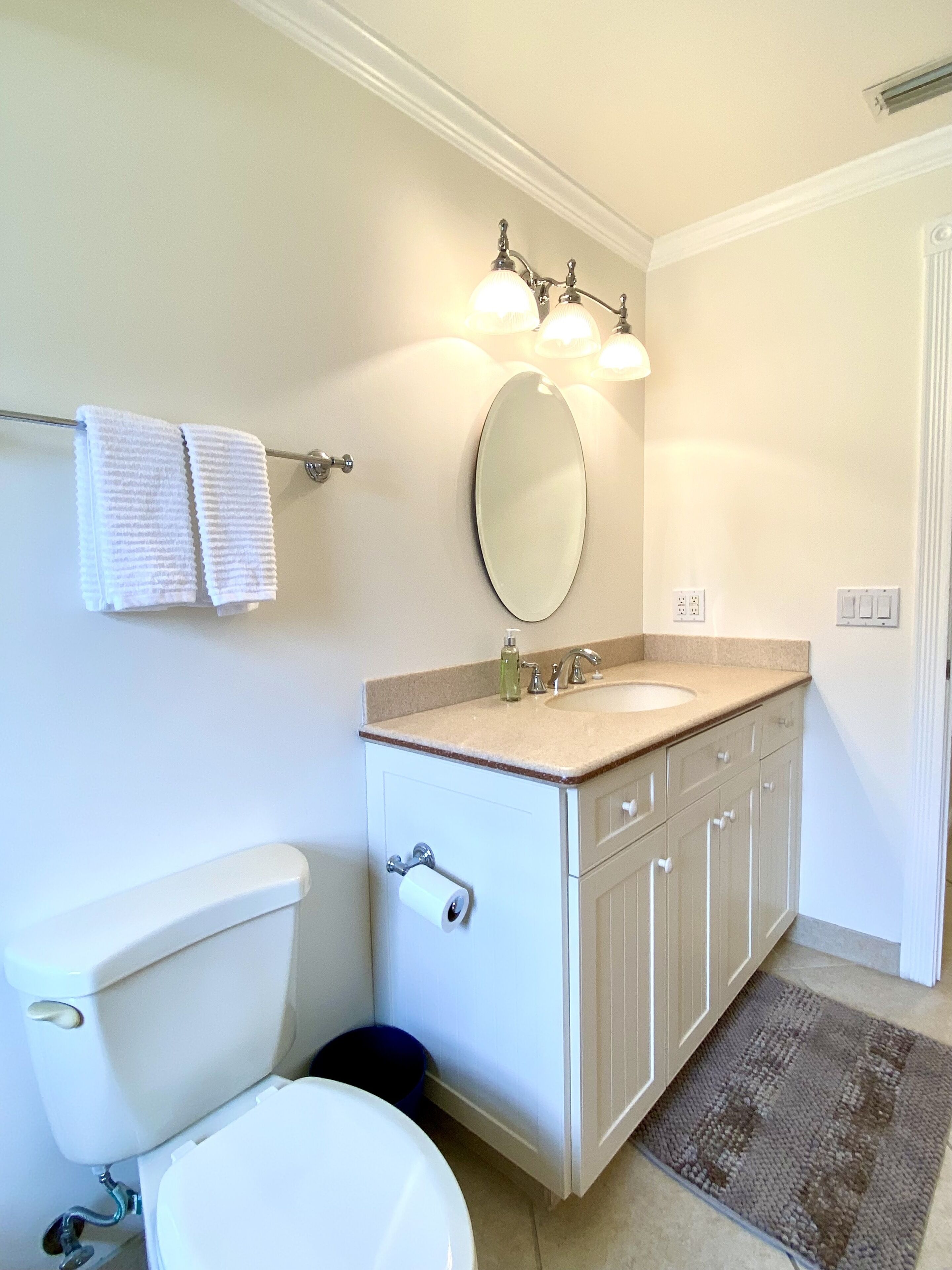 Une salle de bain comprenant des toilettes, un lavabo, un miroir, un porte-serviettes et un tapis.