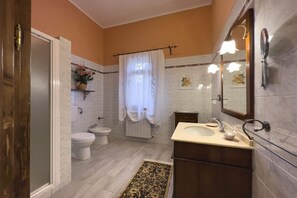 Shower, hair dryer, bidet, towels
