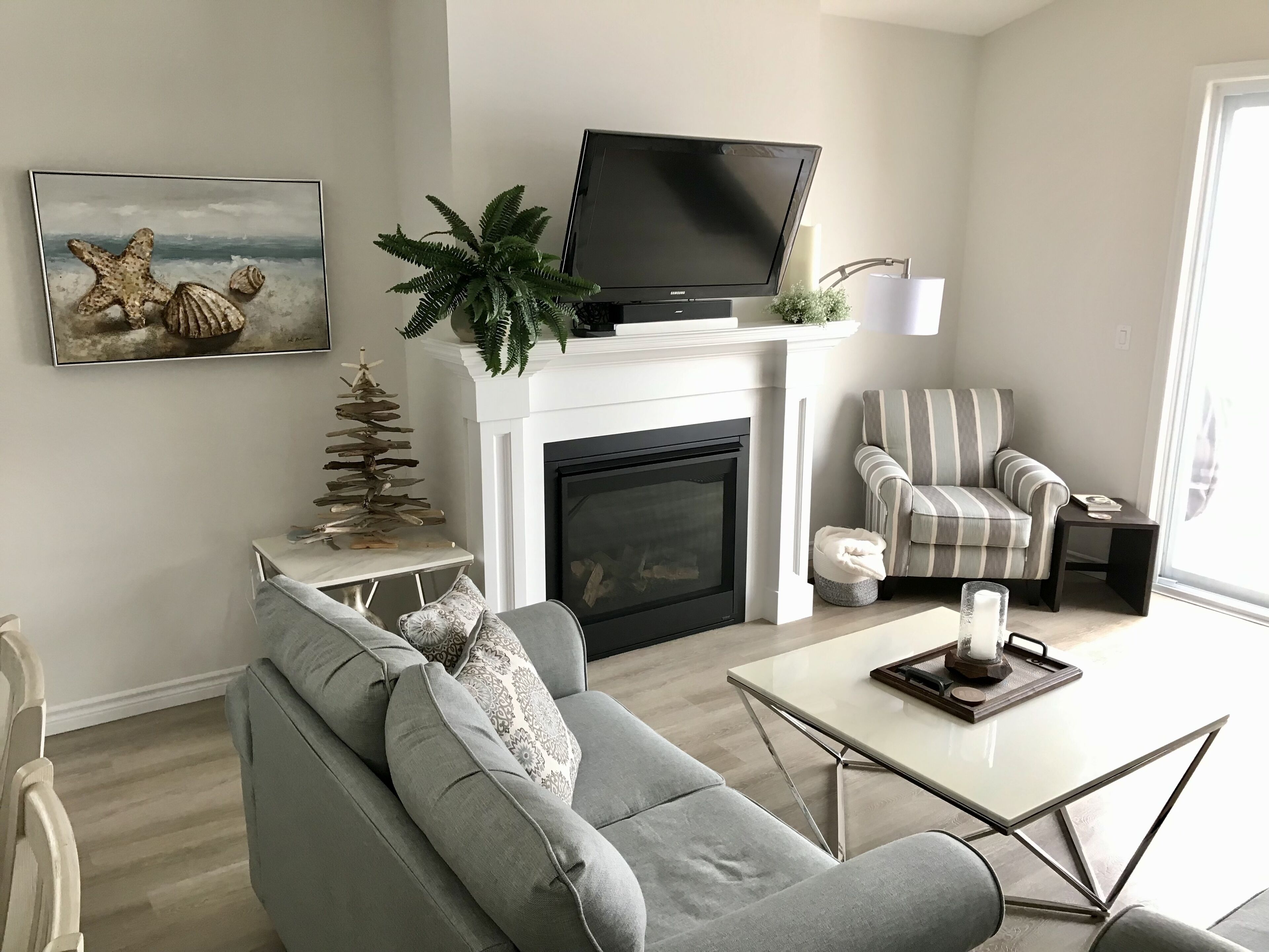 TV connectée, cheminée, livres, espaces bureaux