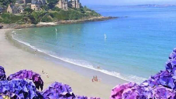 A coastal view with a beach, a few buildings on a hill, and purple flowers in the foreground. - Appartement Résidence le Casino à Perros Guirec (PERROS GUIREC)