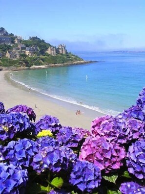 A coastal view with a beach, a few buildings on a hill, and purple flowers in the foreground.