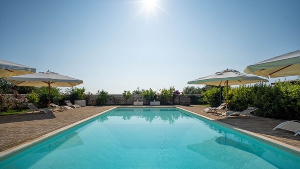 A clear blue pool with lounge chairs and umbrellas, surrounded by greenery.