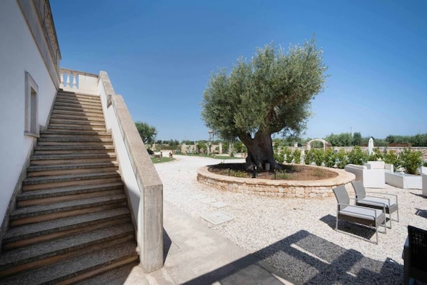 Overnattingsstedets uteområder