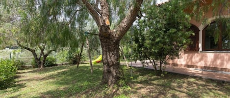 施設の敷地