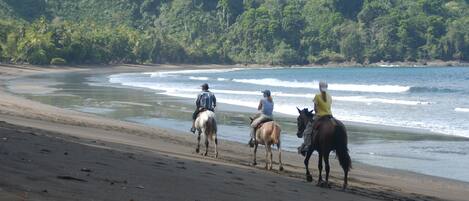 Tres personas montando a caballo a lo largo de una playa con un bosque de fondo.