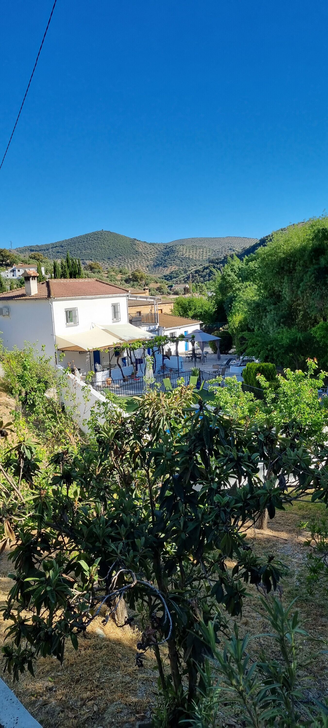 Àrea exterior de l'allotjament