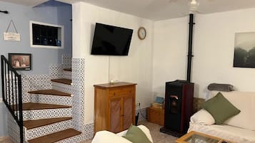 TV, fireplace, video games, DVD player