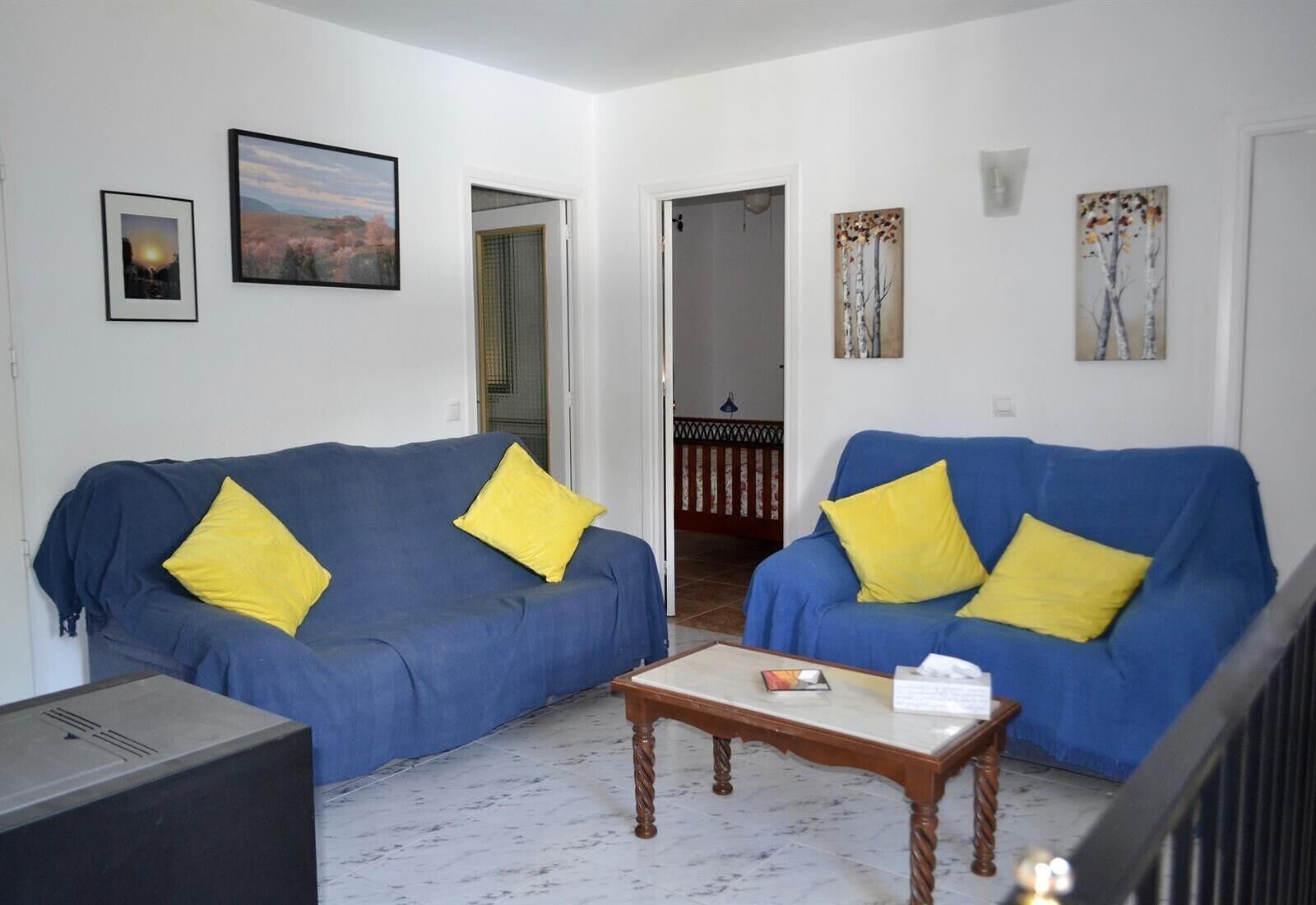 TV, fireplace, video games, DVD player