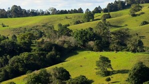Un paisaje montañoso con árboles dispersos y algunas personas caminando.