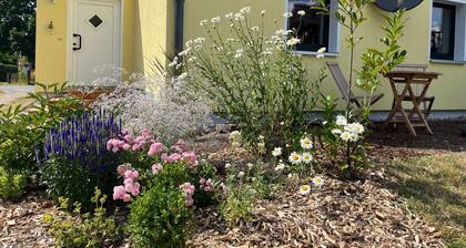 Charmante Ferienwohnung für Feriengäste OVS 104 - 3-Raum-Ferienwohnung (2 Pers.)