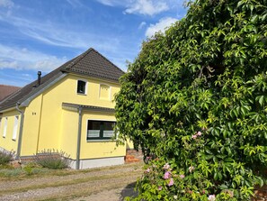 Esterni