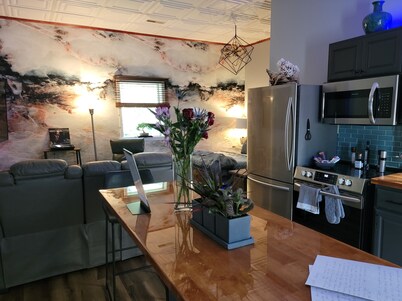 Posh Studio Flat, Smart enabled, WVU Tech District, ADA Compliant, 15% Military