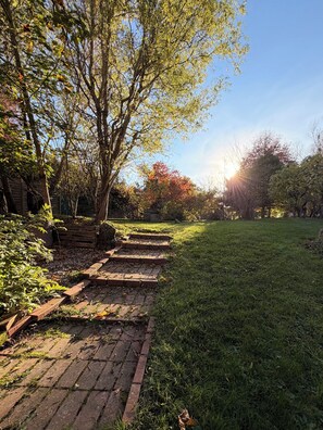 Een pad dat door een tuin met bomen en een heldere lucht loopt.