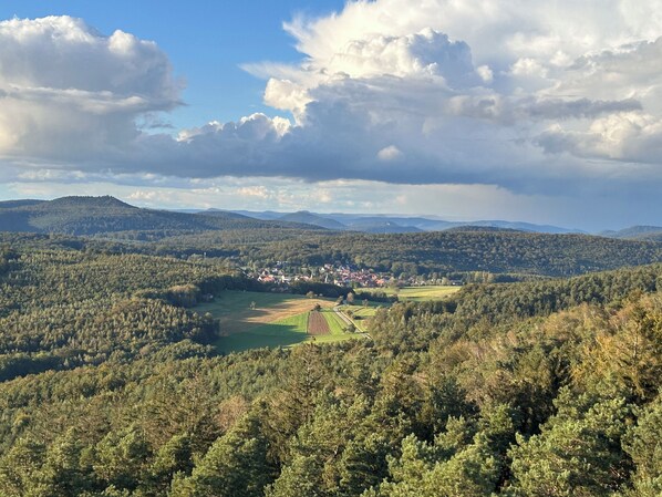A mountainous landscape with a small town nestled among dense forests. - The Seasons in the Heart of the Vineyard! Cozy House in Magical Alsace 🍀 (Cleebourg)