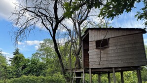 Una casa del árbol de madera con una escalera, rodeada de abundante follaje y árboles.