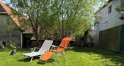 The seasons in the heart of the vineyard! Cosy house in magical Alsace đ