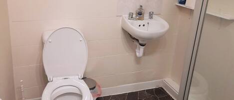 A bathroom with a toilet, a sink, and a mirror.