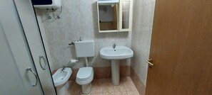 Shower, hair dryer, bidet, towels