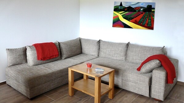 Smart TV, DVD player, books