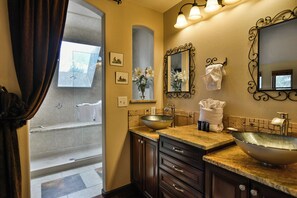 Combined shower/tub, hair dryer