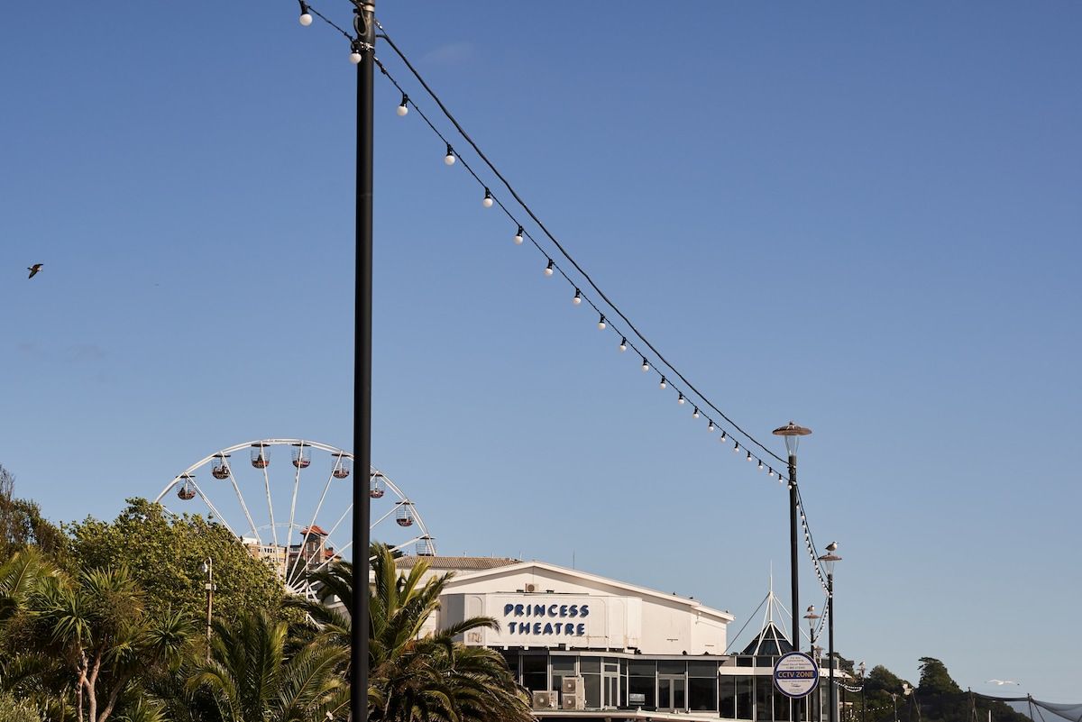 A building labeled 'Princess Theatre' with a Ferris wheel in the background.