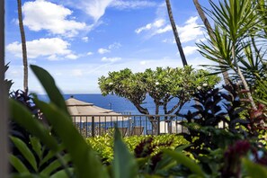 Property grounds - Kona Makai 2103: Remodeled Condo w/ AC in Oceanfront Complex (Kailua Kona)