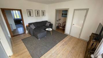 Televisión, chimenea, libros