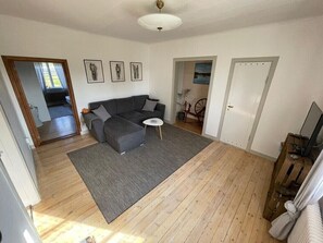 Télévision, cheminée, livres