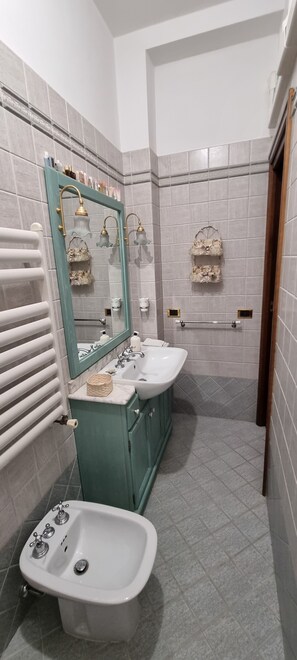 Combined shower/tub, hair dryer, bidet, towels